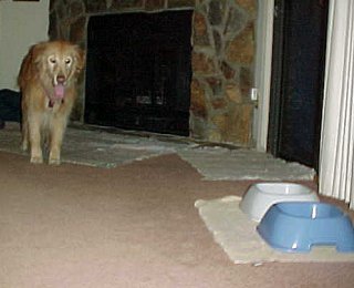  [ Surveying the Room ] 